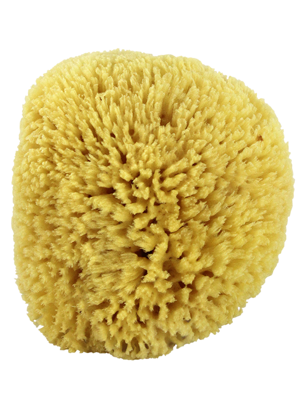 Natural Healthy Loofah Wash Body Sponge - Scilly Rocks
